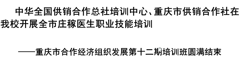 我校教師陳應會老師在永川區(qū)委重要接待中立大功